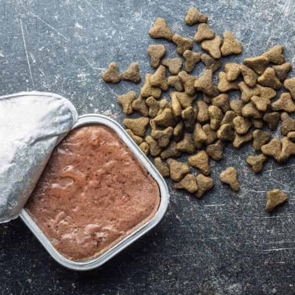 comment sont faites les croquettes pour chien