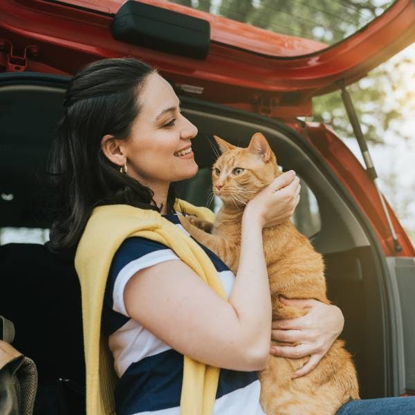 Mon chat est stressé en voiture