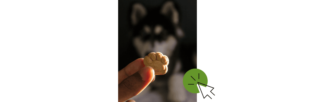 Friandise pour chien