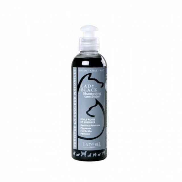 Shampoing Lady Black Ladybel pour pelage noir