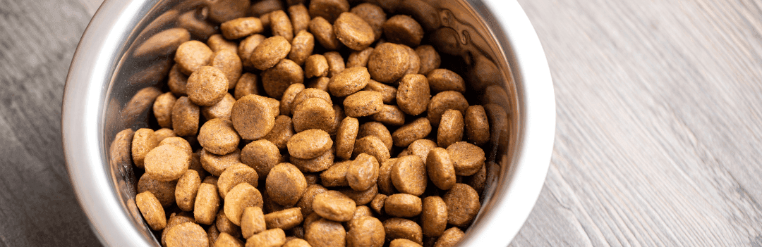 Est-ce que les croquettes pour chat sont bonnes pour les chiens ?