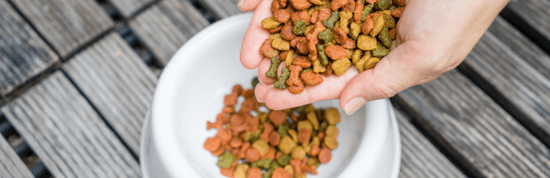 Comment faire prendre du poids à un chien maigre ?