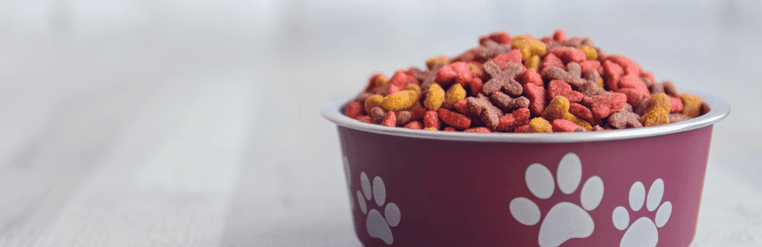 Comment améliorer les croquettes de mon chien ?