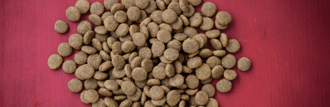 Les meilleures croquettes vétérinaires pour chien