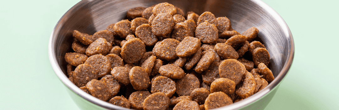 Les croquettes pour chien sans sucre
