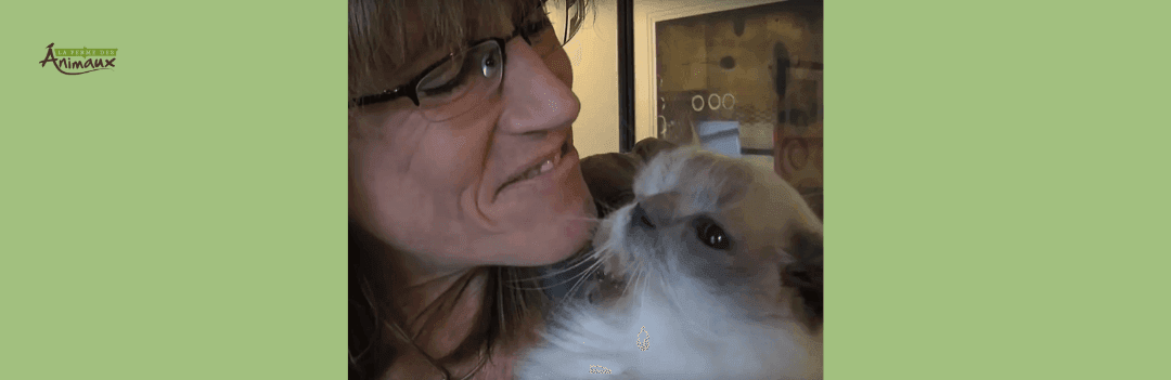 Le record de longévité d’un chat à deux têtes