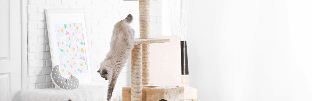 Comment nettoyer un arbre à chat ?