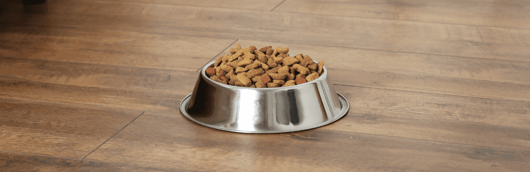 Est-ce que l'on peut congeler des croquettes ?