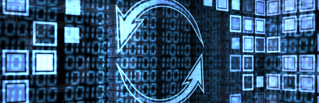 Le cycle de l’azote