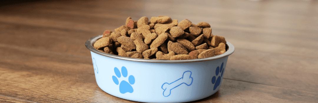 Comment hydrater les croquettes pour chien ?