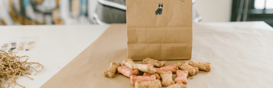 Quelles sont les meilleures croquettes pour chien ?