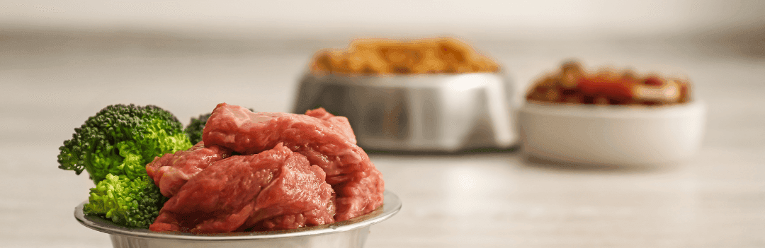 Avec quoi peut-on mélanger les croquettes de son chien ?