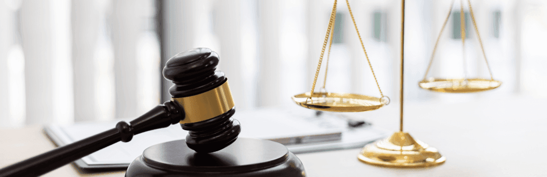 La réglementation pour l’achat d’un chien