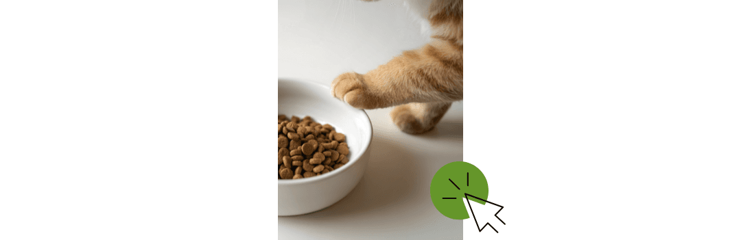 Gamelle pour chat et distributeur