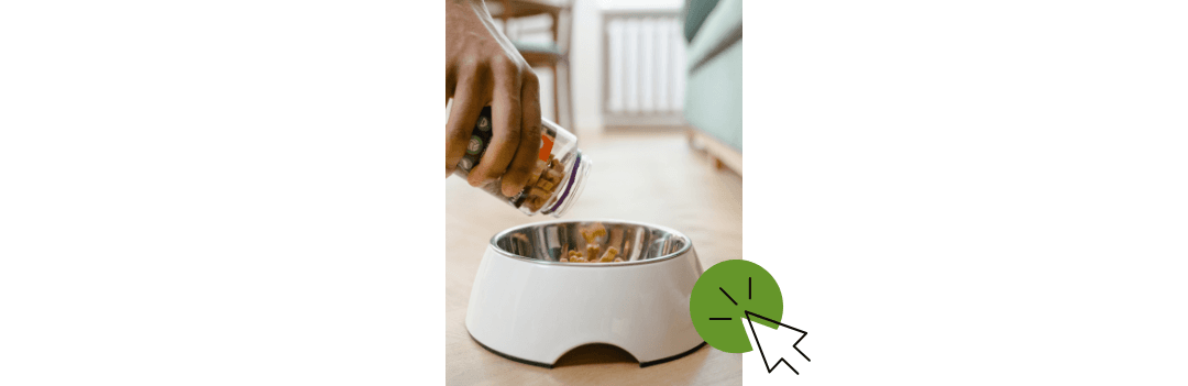 Gamelle pour chien et distributeur de nourriture