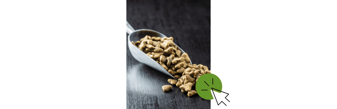 Gamelle pour chien et distributeur de nourriture