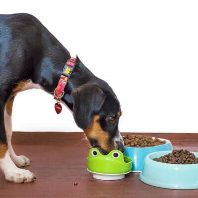 En cas d’allergie alimentaire