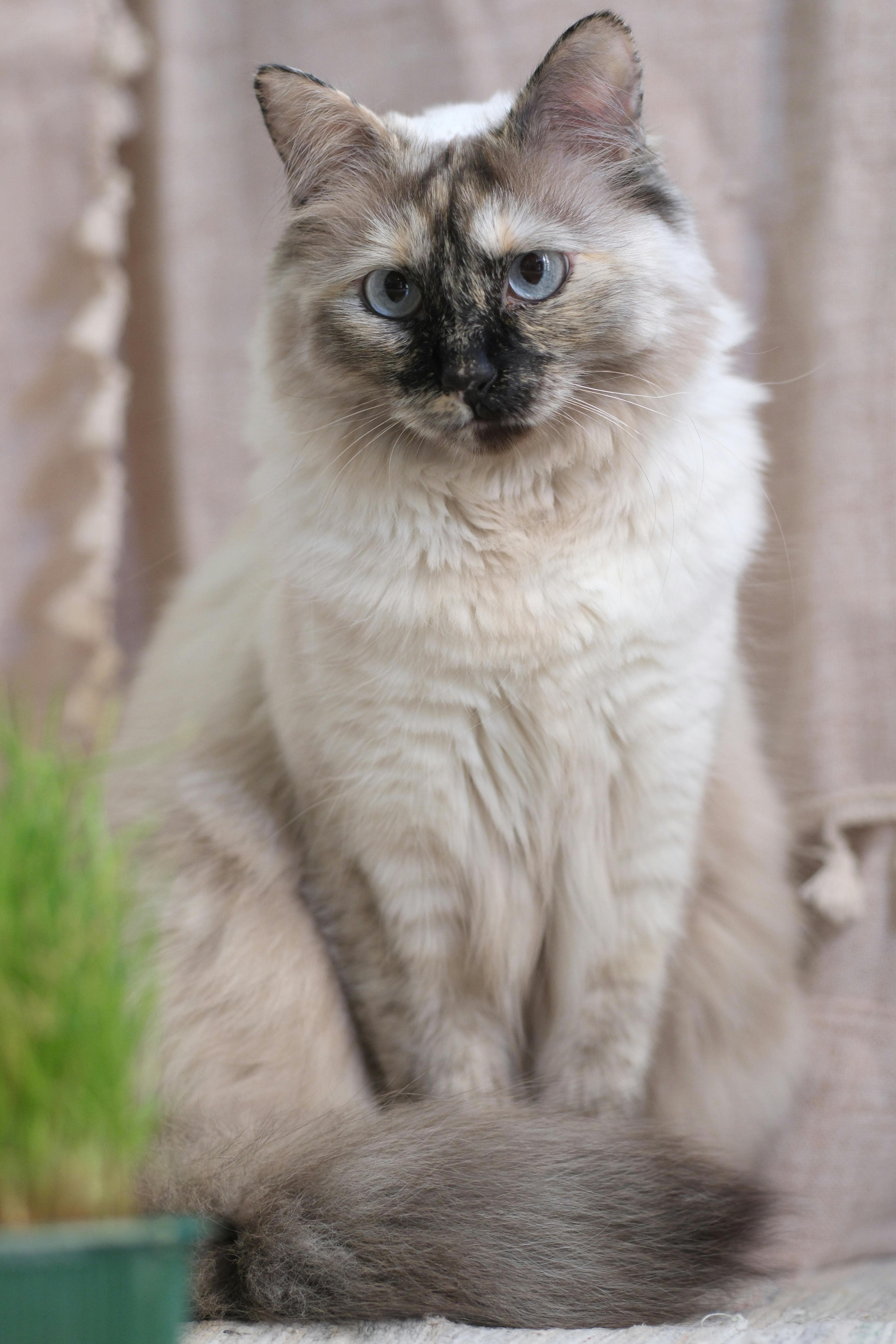 La vie en appartement : un espace à aménager