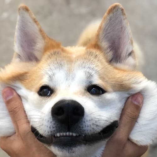 Default