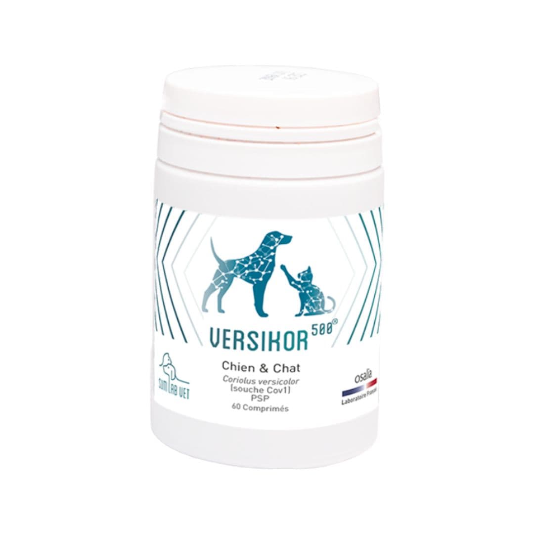 Comprimés Versikor 500 pour chien et chat