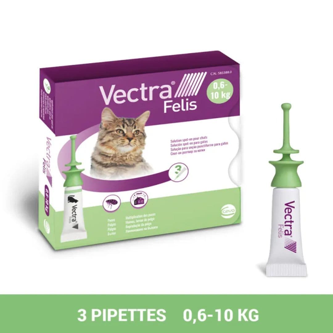 Vectra Felis Spot-on pour chat