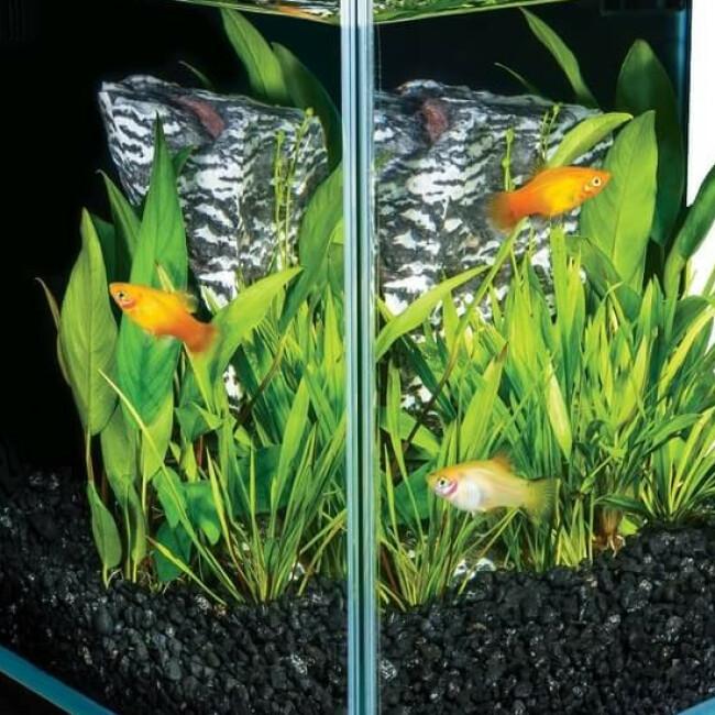 Aquarium Tetra Silhouette LED 12 litres 