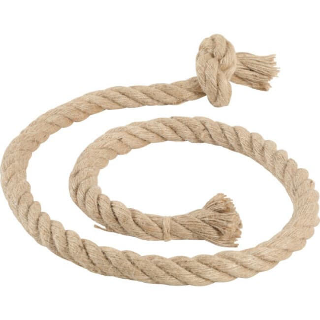 Accessoires pour arbre à chat Cat Lodge 160cm pour chat