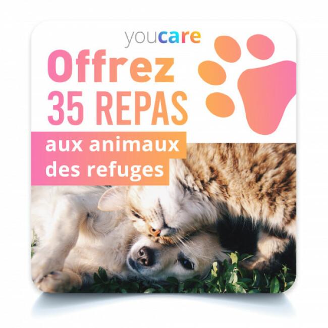 Carte de dons YouCare - Offrez 35 repas aux animaux des refuges
