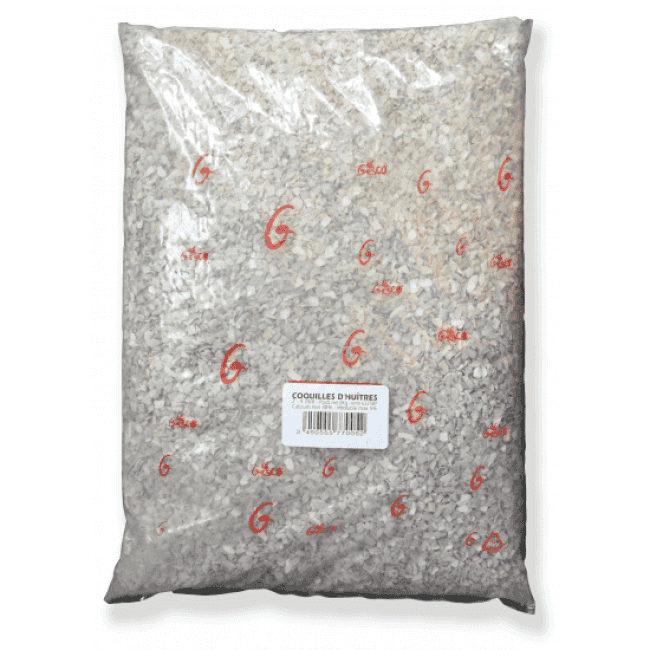 Coquilles d’huîtres pour poule pondeuse