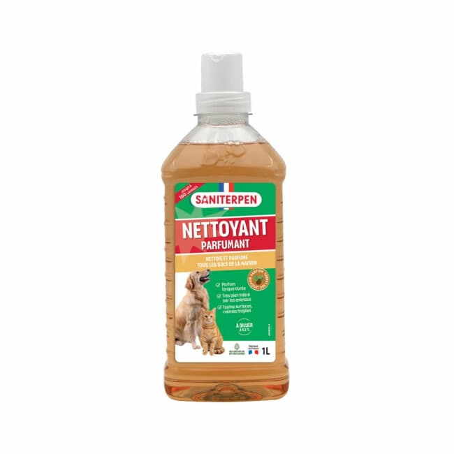 Détergent pour sol et extérieur Saniterpen Bidon 1 litre