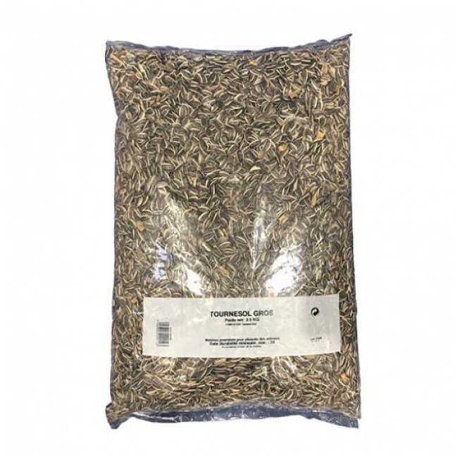 Graines de tournesol gros Gasco pour oiseaux domestiques et sauvages
