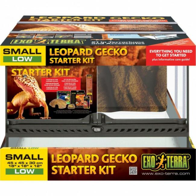 Kit terrarium pour Leopard Gecko Exo Terra