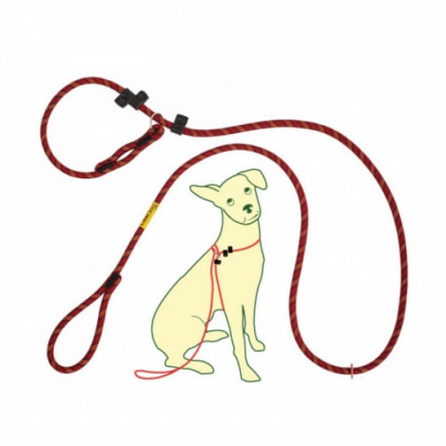 Laisse d'éducation CoolDog pour chien