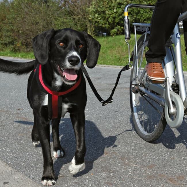 Laisse de vélo pour grand chien Biker Set
