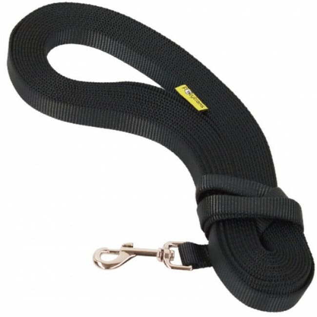 Longe de pistage en nylon 20 mm pour chien