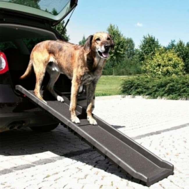 Rampe d'accès pliable pour animaux 155 cm x 40 cm Trixie