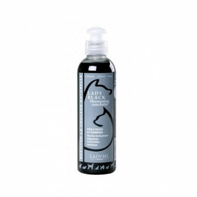 Shampoing Lady Black Ladybel pour pelage noir