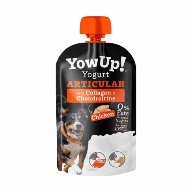 YowUP Articular pour chien - Yaourt écrémé naturel - Collagène et chondroïtine